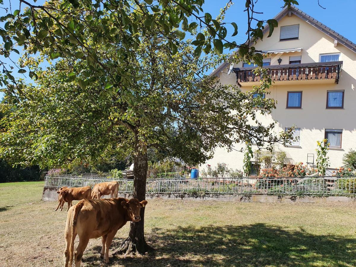 Chickenhill Blackforest, Ferienwohnung Grosshans Bad Wildbad Extérieur photo